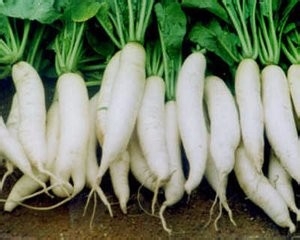 婴幼儿咽炎怎么治