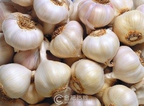 驱赶蟑螂、蚂蚁、蚊子的妙方
