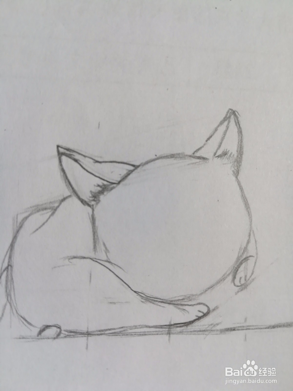 傲娇的小猫画法教程（2）——成型