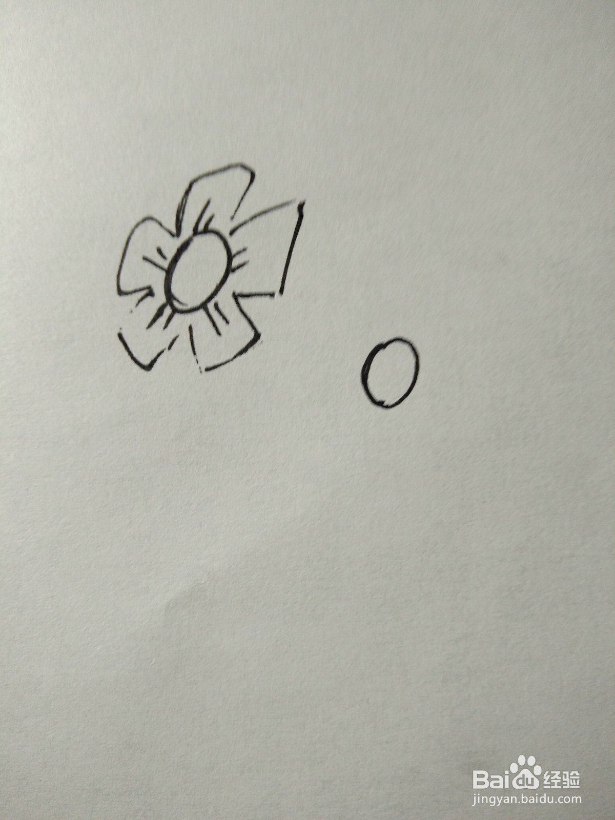 简笔画花朵图片