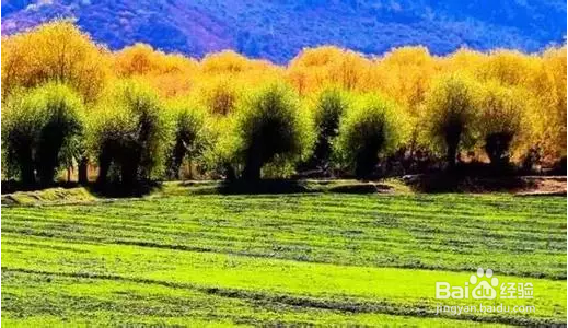 领略川藏线上的美丽风景