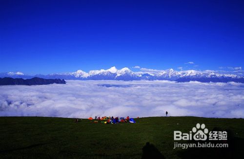 雅安地震之雅安回忆