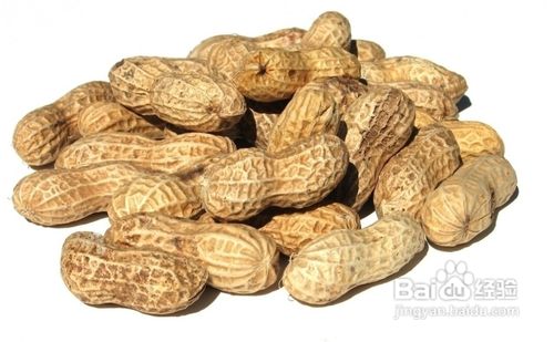 可以减肥的零食