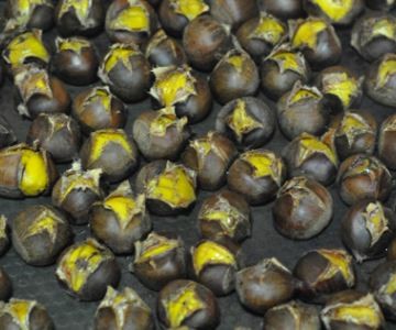 板栗怎么快速去壳去皮