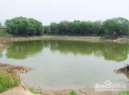鱼塘纠纷怎么处理