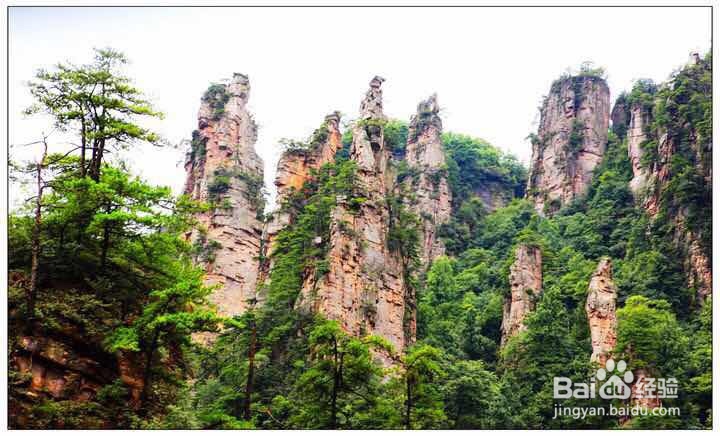 张家界旅游该注意些什么呢？