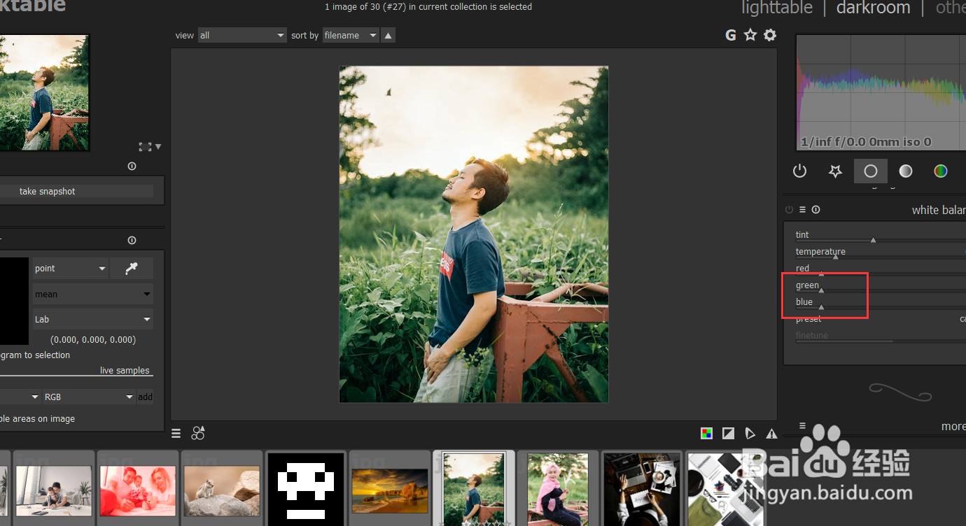 如何使用darktable修改图像的蓝色色调？