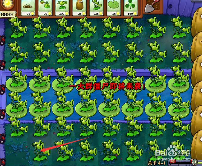 怎么玩植物大战僵尸4-2关
