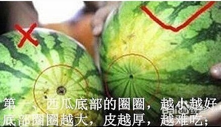 『百度生活小贴士』之教你怎么挑西瓜