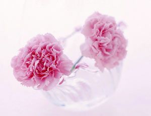 肾盂肾炎发病的原因