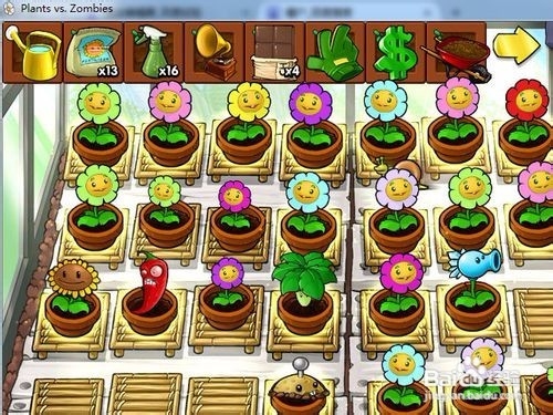 植2恐龙危鸡攻略