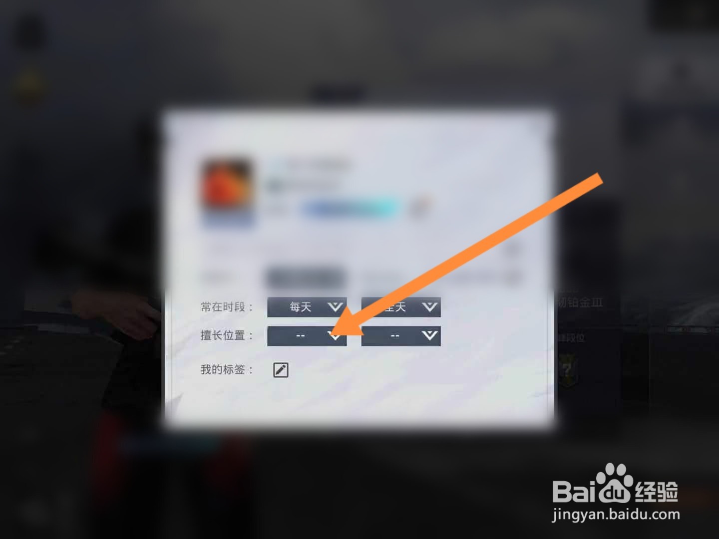和平精英怎么修改显示的擅长位置