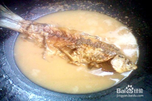 萝卜炖鲫鱼-----营养美味