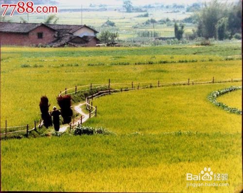 怎样提高记忆力的小方法