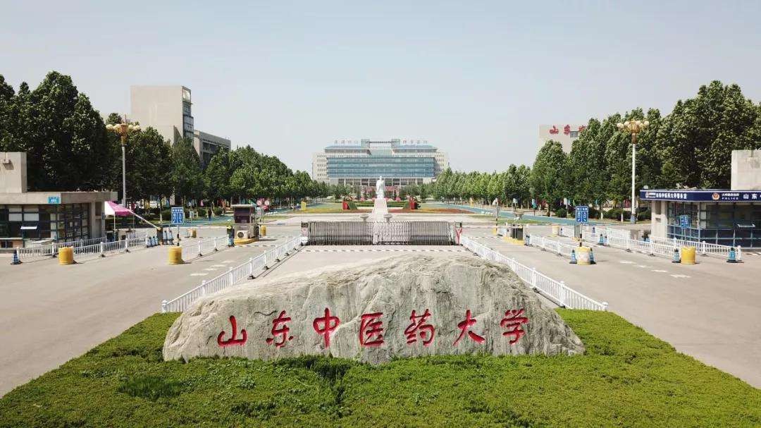 山东中医药大学2021录取分数线