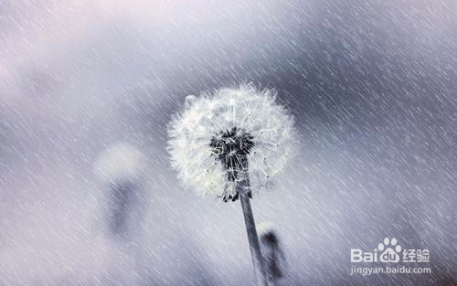 亚马逊、eBay卖家须知:低税率不一定省钱