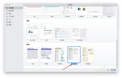 Numbers表格“相关性项目”模板中如何插入文本