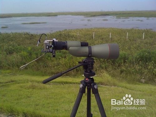 望远镜观鸟指南