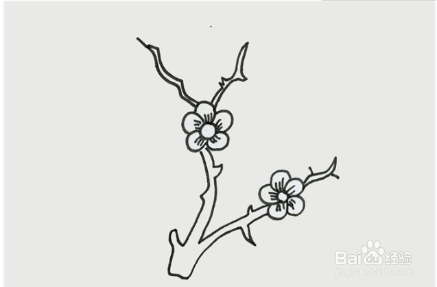 伴儿成长简笔画系列-怎么画梅花