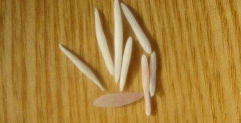 造牙粉使用方法