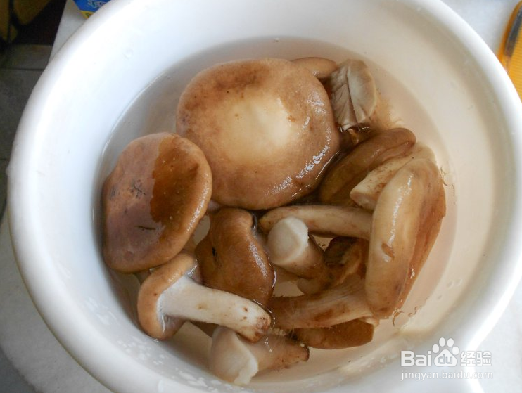 赛鲍鱼的做法大全