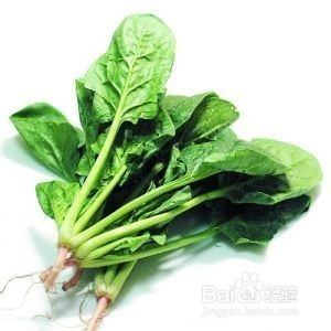 常吃菠菜对人体有啥好处