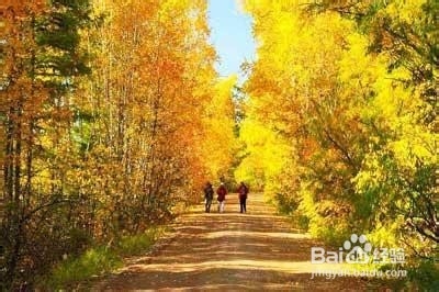 7招秋季养生攻略