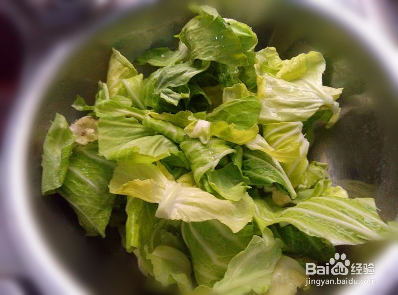 绿“肥”红“瘦”——卷心菜黄瓜“开会”