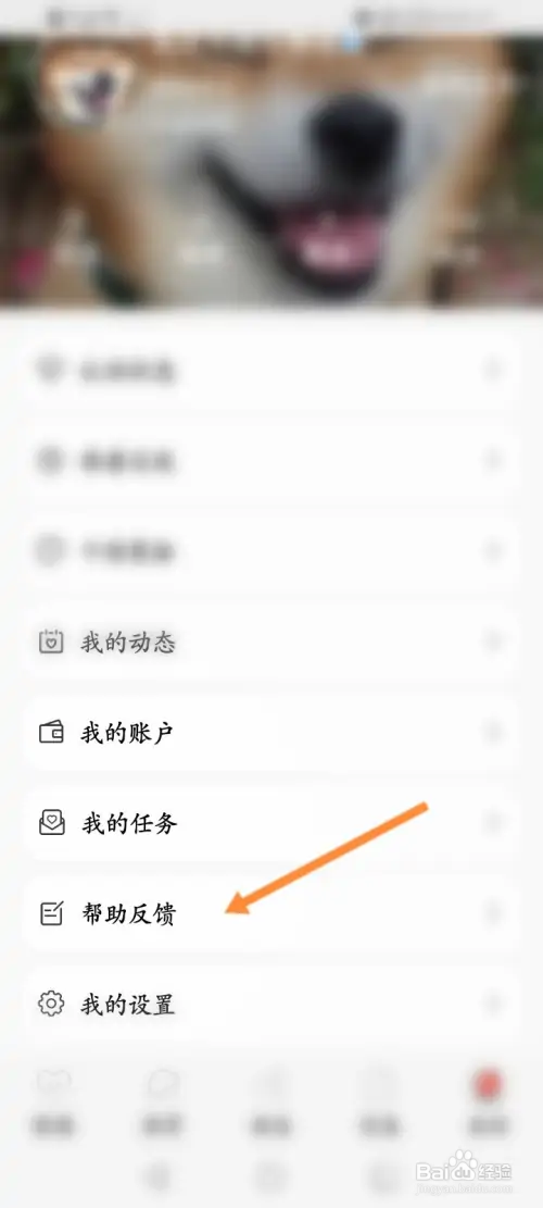 探遇漂流瓶在哪联系客服