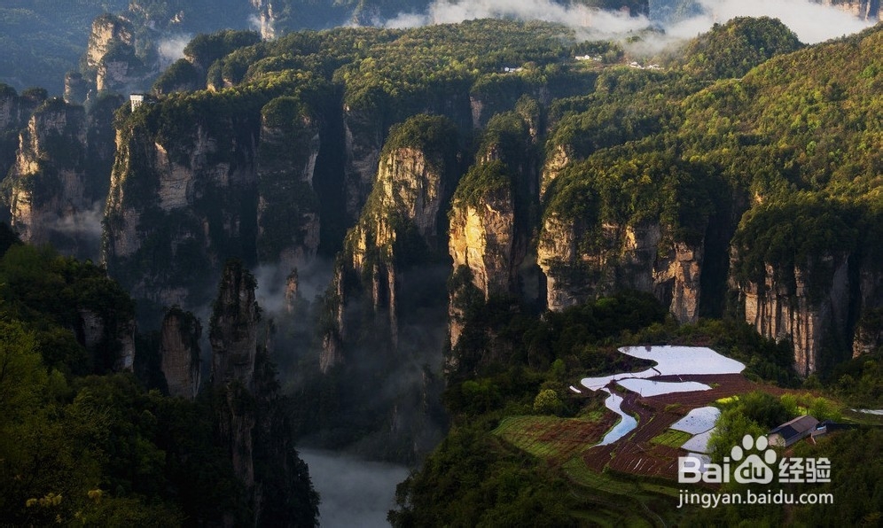 张家口到张家界自驾游