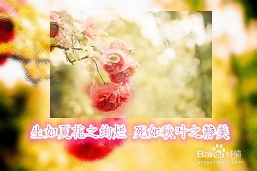 【做图入门教程】画中画镜像图 美图秀秀