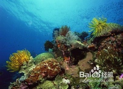 三亚亚龙湾旅游攻略