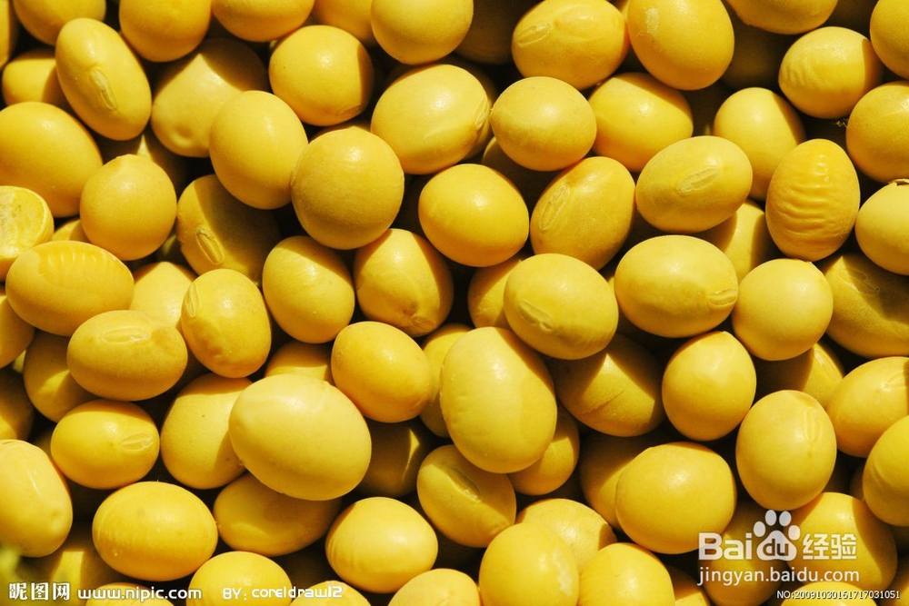 哪些食物有助于降低心脑血管病人的胆固醇