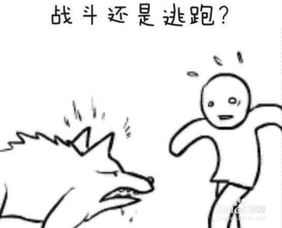 面试需要考察什么能力