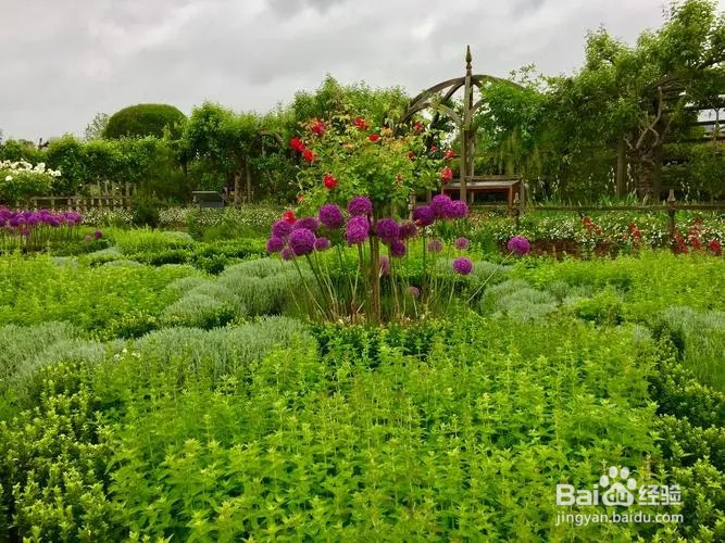 能在公园剪枝条吗