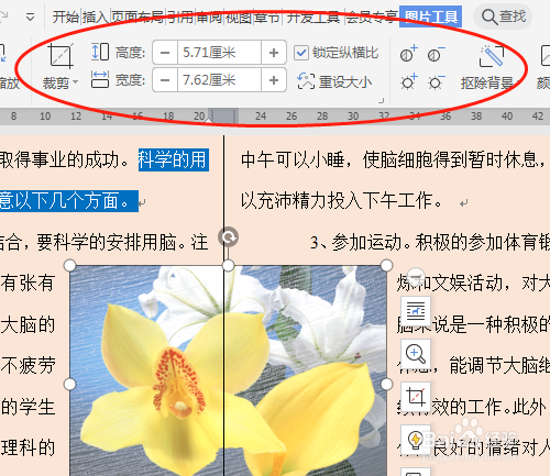 wps2019 第八课 如何设置文档中图片格式
