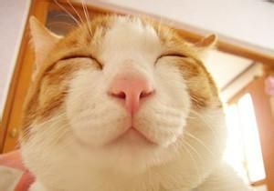 愚人节有哪些顺口溜？