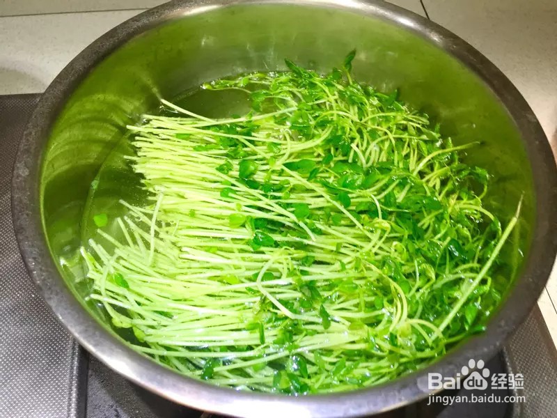 怎样做出家常菜系列之豆苗炒虾仁