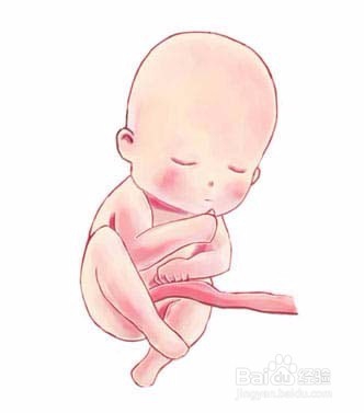 几个胎儿宫内缺氧信号记牢!