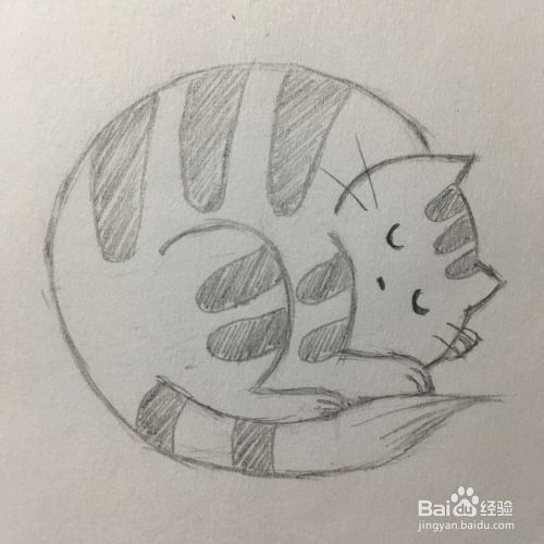 如何画一只在睡觉的胖斑纹猫？