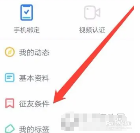 伊对怎么设置征友条件