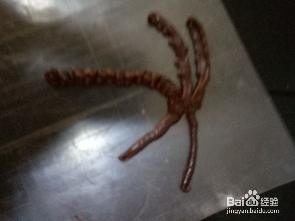 制作巧克力椰子树形状的配件