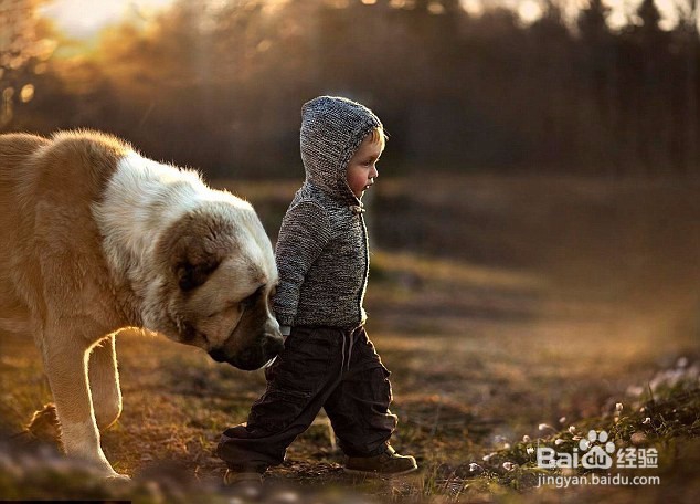 宠物狗与孩子亲密合影，真的是很温馨快乐！