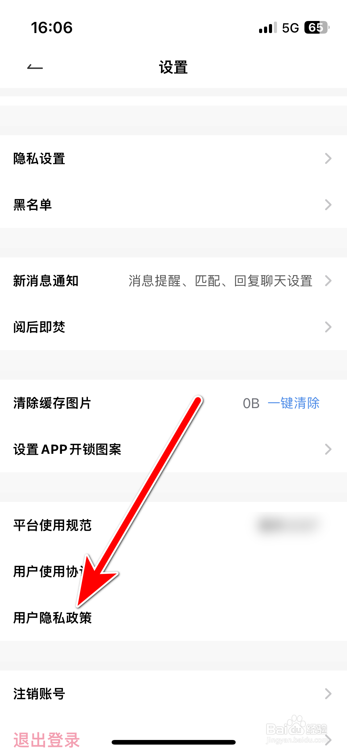 初见桃花如何查看用户隐私政策