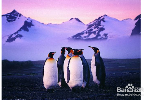 怎样注册八位QQ,七位QQ