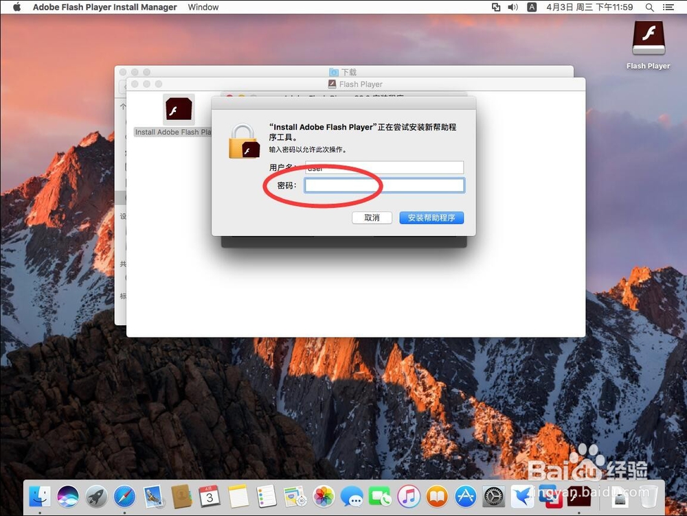 苹果电脑Mac系统如何安装Adobe Flash Player