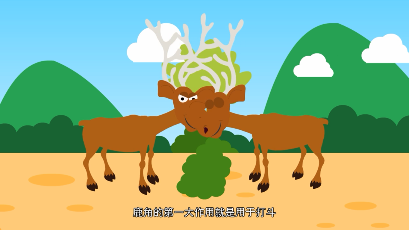 雄鹿的角有什么作用