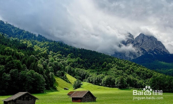 怎样判断脸上痘痘判别病症，预防病症保健康？