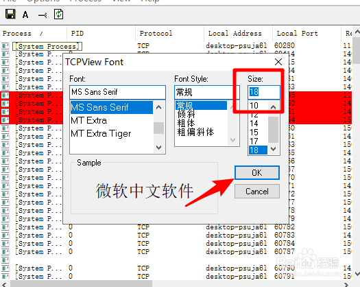TcpView字体太小怎么办