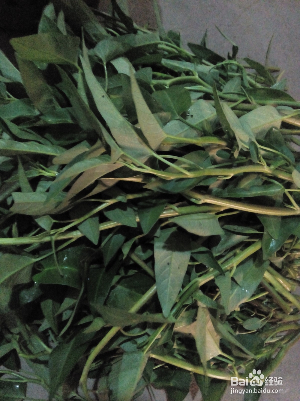 蒜蓉热拌空心菜